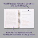 A Beautiful Year in the Bible: The 52-Week Bible Study for Women