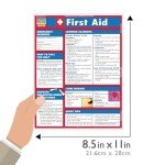 First Aid QuickStudy Laminated Reference Guide (QuickStudy Health)