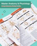 TribeRN Anatomy & Physiology Study Guides - Set of 10 Human Anatomy Guides for Nursing Students, School, College, Medical Professions - 12 Topics on Body Systems w/ Reference Charts & Terminology