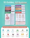 TribeRN Anatomy & Physiology Study Guides - Set of 10 Human Anatomy Guides for Nursing Students, School, College, Medical Professions - 12 Topics on Body Systems w/ Reference Charts & Terminology