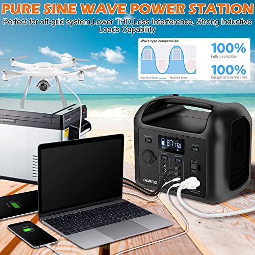 DLNRG R300 299Wh Portable Power Station