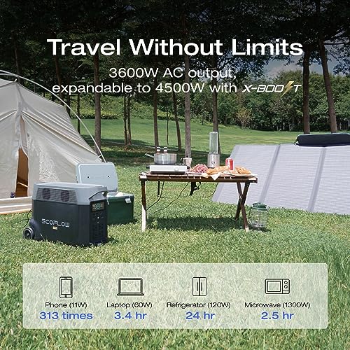 EF ECOFLOW DELTA Pro Solar Generator + Portable Solar Panel