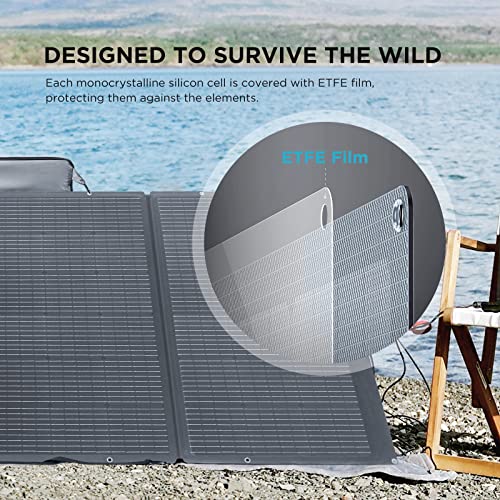 EF ECOFLOW DELTA Pro Solar Generator + Portable Solar Panel