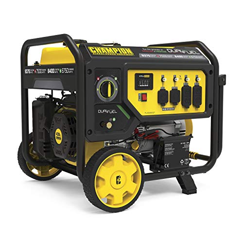 Champion Dual Fuel Portable Generator, Electric Start