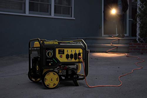 Champion Dual Fuel Portable Generator, Electric Start