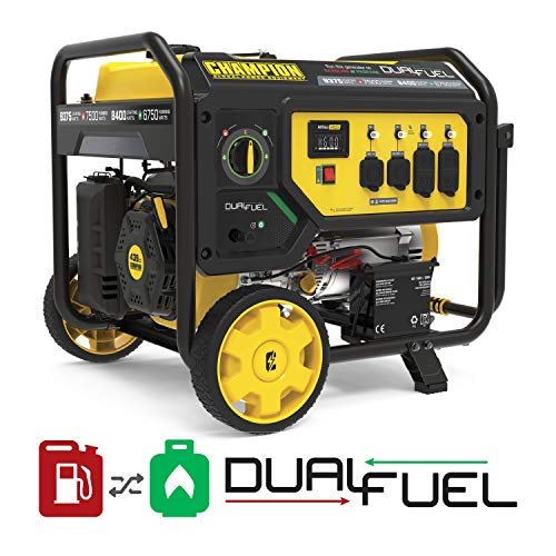 Champion Dual Fuel Portable Generator, Electric Start