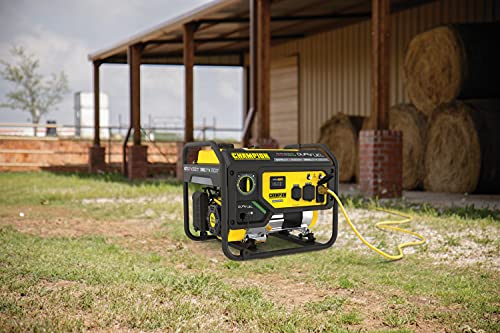 Champion 4375/3500W Dual Fuel Portable Generator, RV Ready
