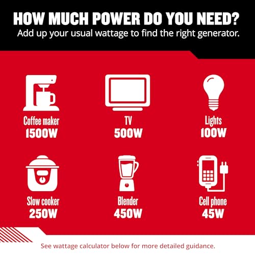 Craftsman C0010250 2,500-Watt Gas Portable Generator