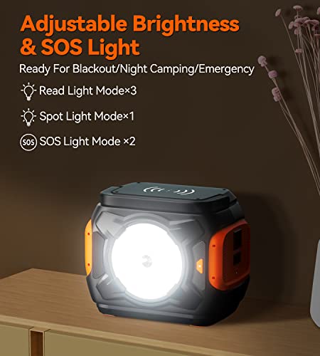 FF FLASHFISH Portable Power Station - 320W