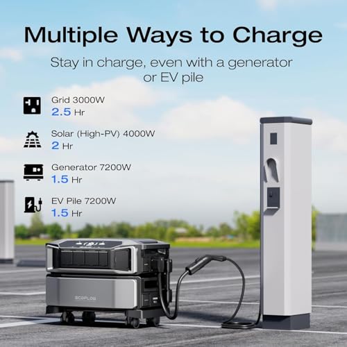 EF ECOFLOW DELTA Mini Portable Power Station, 882Wh
