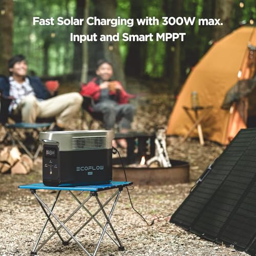 EF ECOFLOW DELTA Mini Portable Power Station, 882Wh