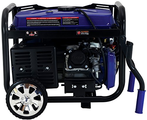 Ford 5,250W Dual Fuel Portable Generator with Switch & Go