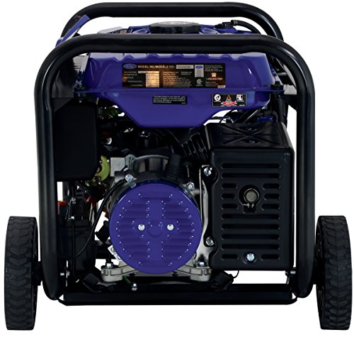 Ford 5,250W Dual Fuel Portable Generator with Switch & Go