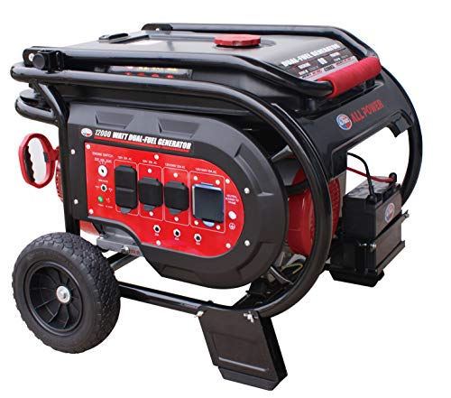 PowerAmerica Dual Fuel Portable Generator, 12000W, Black/Red