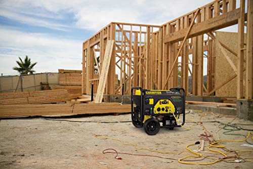 Champion Dual Fuel Portable Generator with Electric Start