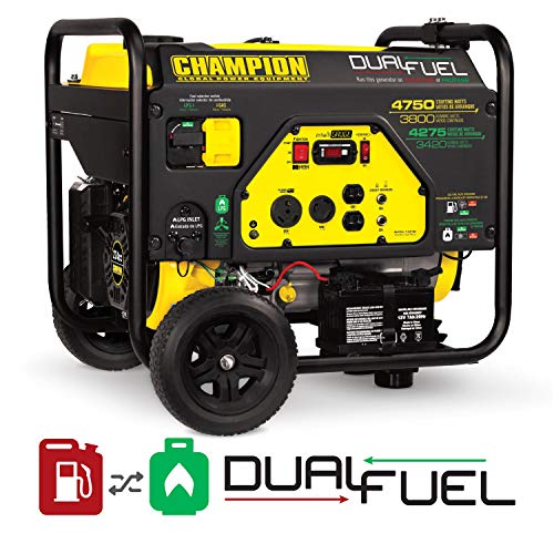 Champion Dual Fuel Portable Generator with Electric Start