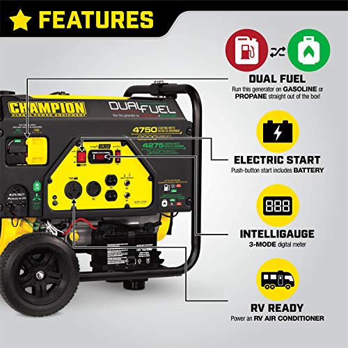Champion Dual Fuel Portable Generator with Electric Start