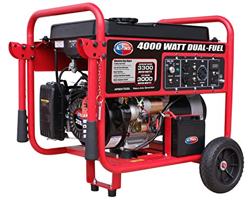 4000W Portable Dual Fuel Generator - Electric Start