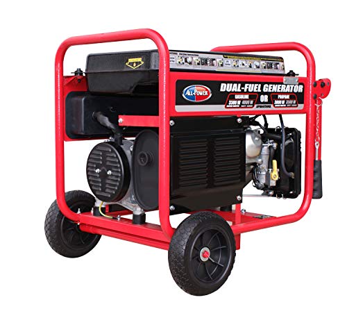 4000W Portable Dual Fuel Generator - Electric Start