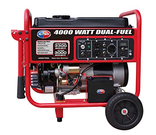 4000W Portable Dual Fuel Generator - Electric Start