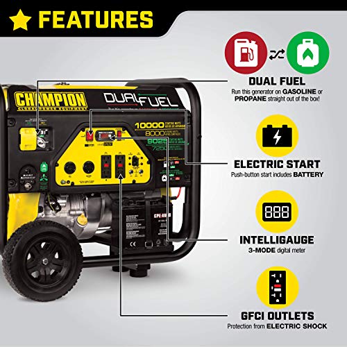 Champion 8000W Dual Fuel Portable Generator