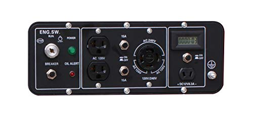 4000W Portable Dual Fuel Generator - Electric Start