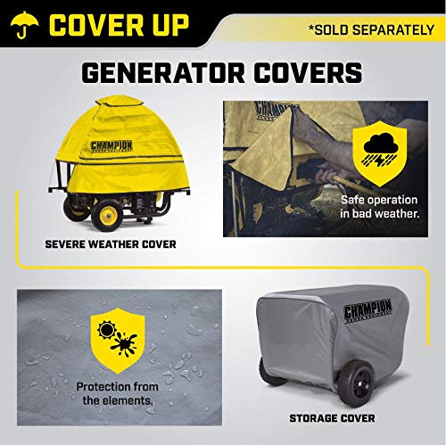 Champion Dual Fuel Portable Generator with Electric Start