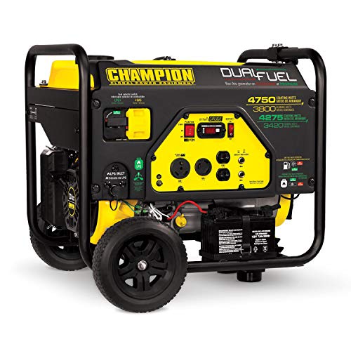 Champion Dual Fuel Portable Generator with Electric Start