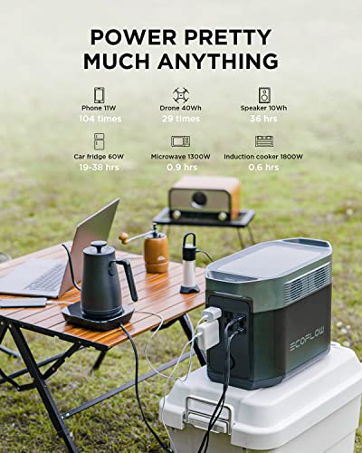 ECOFLOW Solar Generator DELTA 1260Wh + 160W Solar Panel