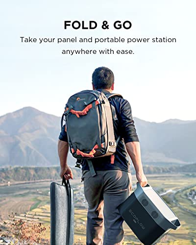 EF ECOFLOW Solar Generator DELTA Max (2000)