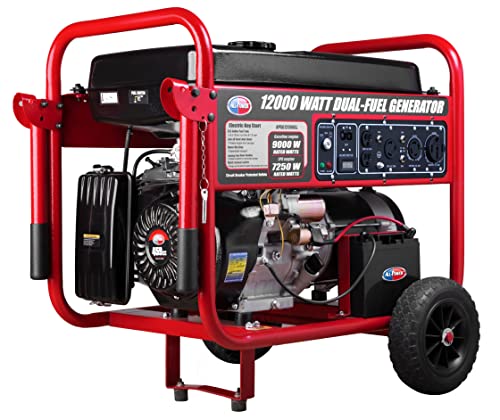 APGG12000GL Dual Fuel Portable Generator 12000W 120/240V
