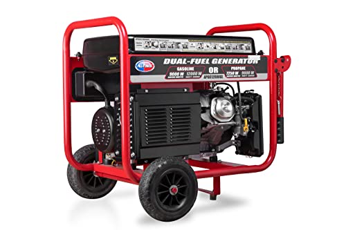 APGG12000GL Dual Fuel Portable Generator 12000W 120/240V