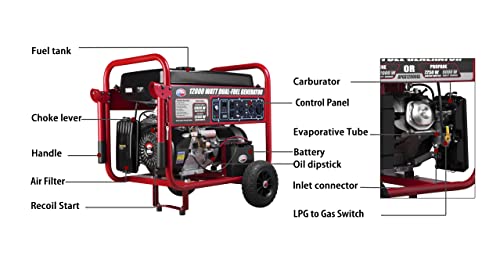 APGG12000GL Dual Fuel Portable Generator 12000W 120/240V