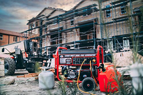 APGG12000GL Dual Fuel Portable Generator 12000W 120/240V