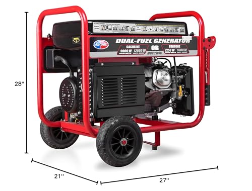 APGG12000GL Dual Fuel Portable Generator 12000W 120/240V