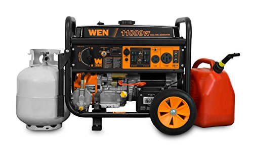 WEN DF1100T Dual Fuel Portable Generator