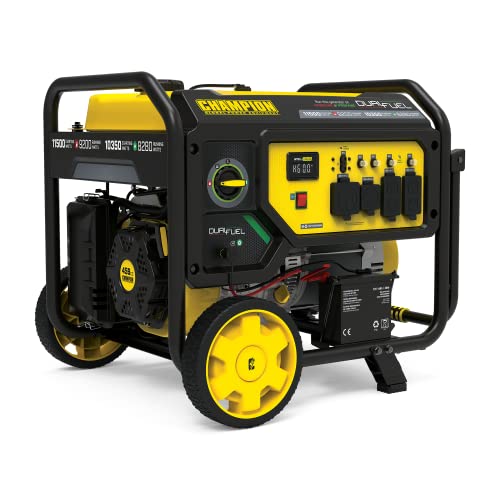 Champion Dual Fuel Portable Generator, Electric Start