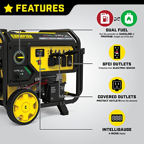 Champion Dual Fuel Portable Generator, Electric Start