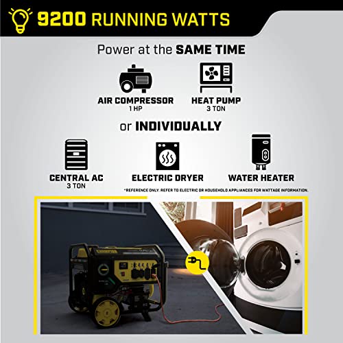 Champion Dual Fuel Portable Generator, Electric Start