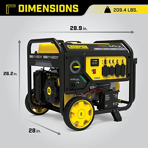 Champion Dual Fuel Portable Generator, Electric Start