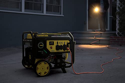 Champion Dual Fuel Portable Generator, Electric Start