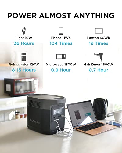 ECOFLOW DELTA 1300 Portable Power Station