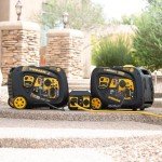 Firman W03382 Gasoline Inverter Electric Start Portable Generator