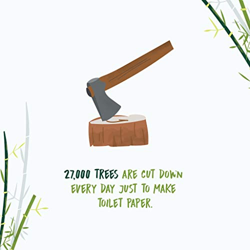 Tissue: 3-ply Bamboo, Ecofriendly, Sustainable