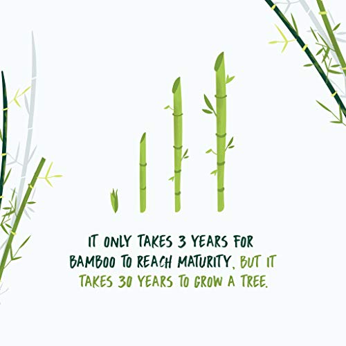 Tissue: 3-ply Bamboo, Ecofriendly, Sustainable