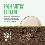 Eco-Friendly 9" Compostable Paper Plates (125-Pack)