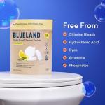 Eco-Friendly Toilet Bowl Cleaner Refill Pack - Lemon Cedar