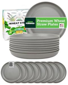 Light Wheat Straw Dinner Plates - Set of 8