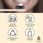 Eco-Friendly Chewable Toothpaste Tablets - Spearmint