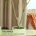 VIVATREES Olive Trees Artificial Indoor, 5FT Tall Faux Olive Tree with White Tall Planter, Artificial Plants with Natural Wood Trunk and Lifelike Fruits for Home Office Decor